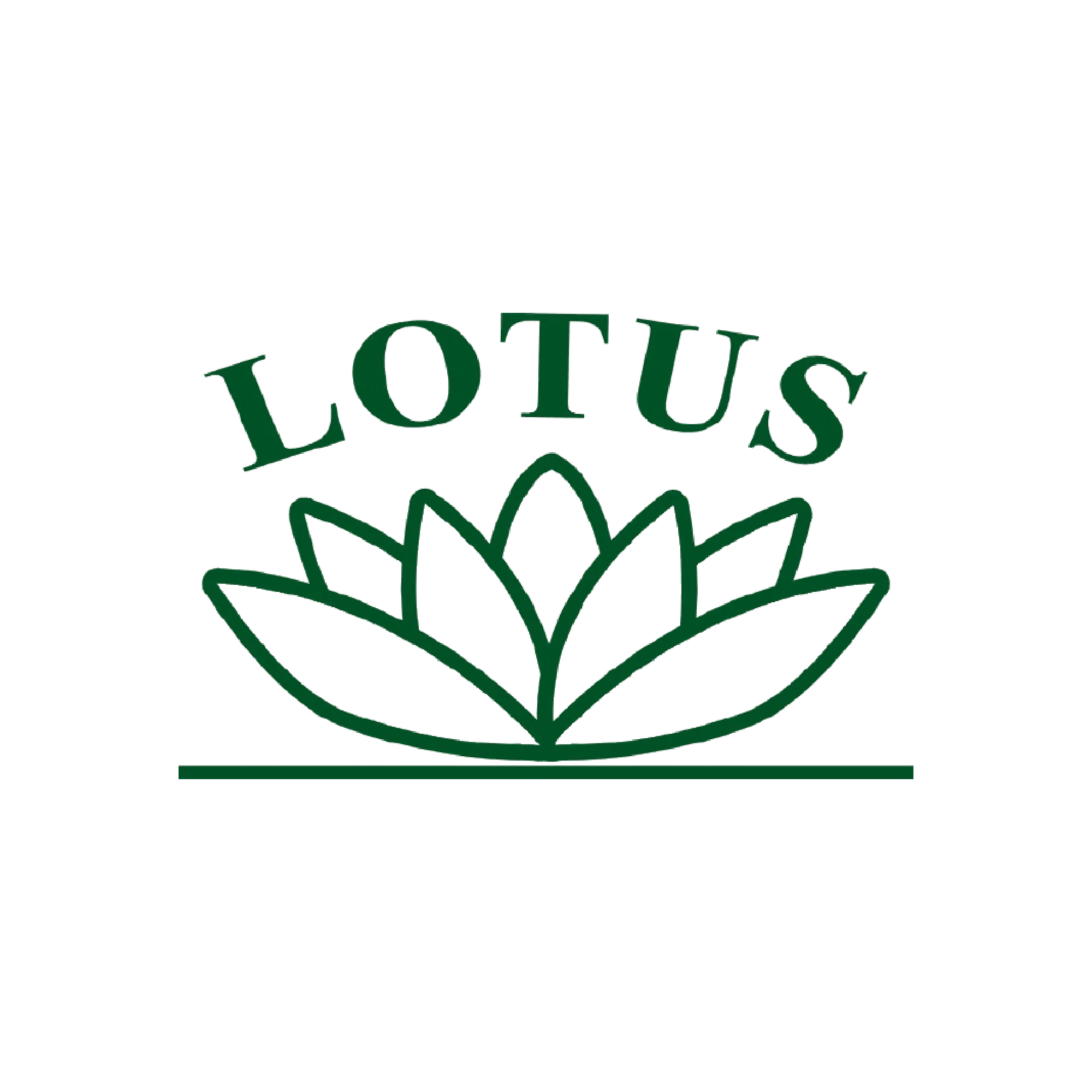 الرئيسية 141 Lotus