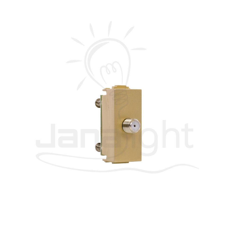 بريزة دش شمباني SANSHE Champagne satellite socket Sanshe