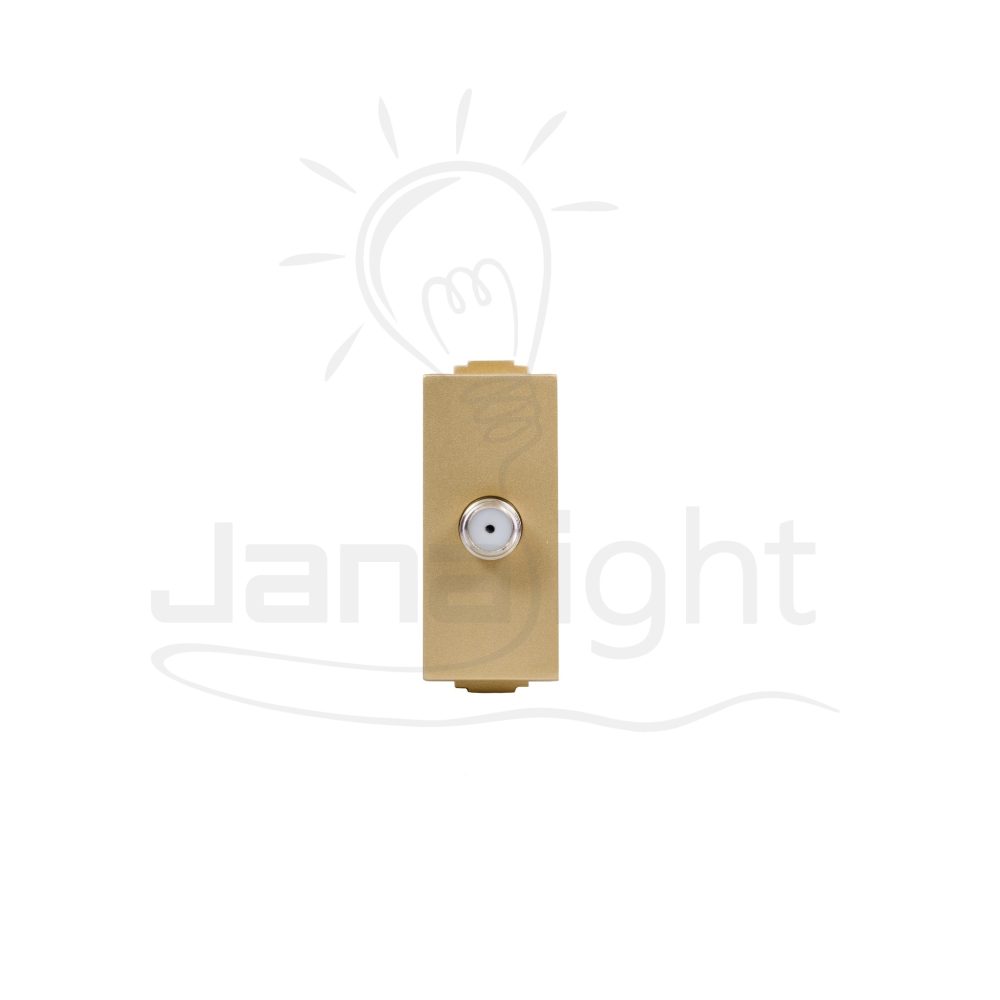 بريزة دش شمباني SANSHE Champagne satellite socket Sanshe