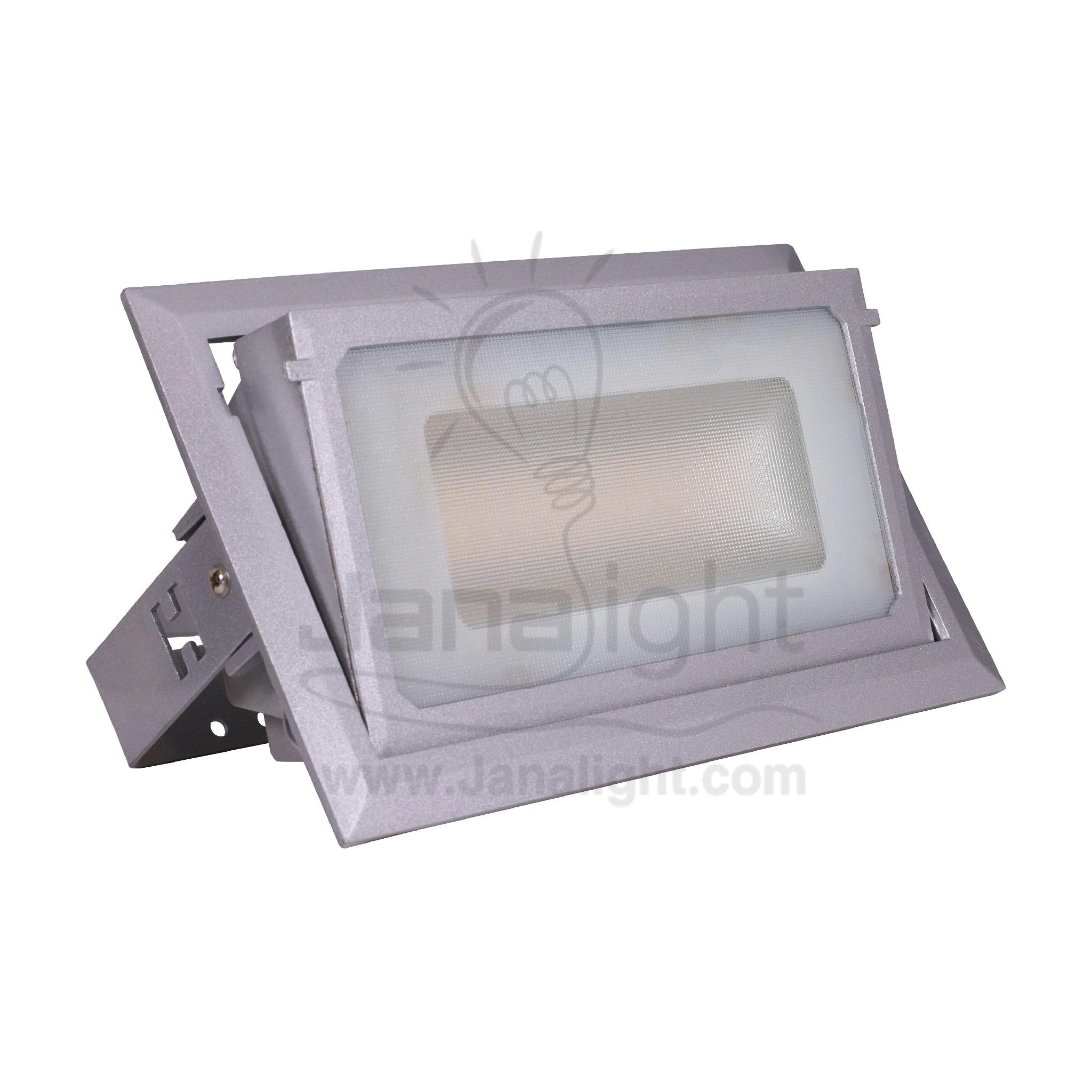 سبوت واجهة 30 وات حلق فضي انارة وورم silver LED Flood elmohandes light 30 Watt-worm