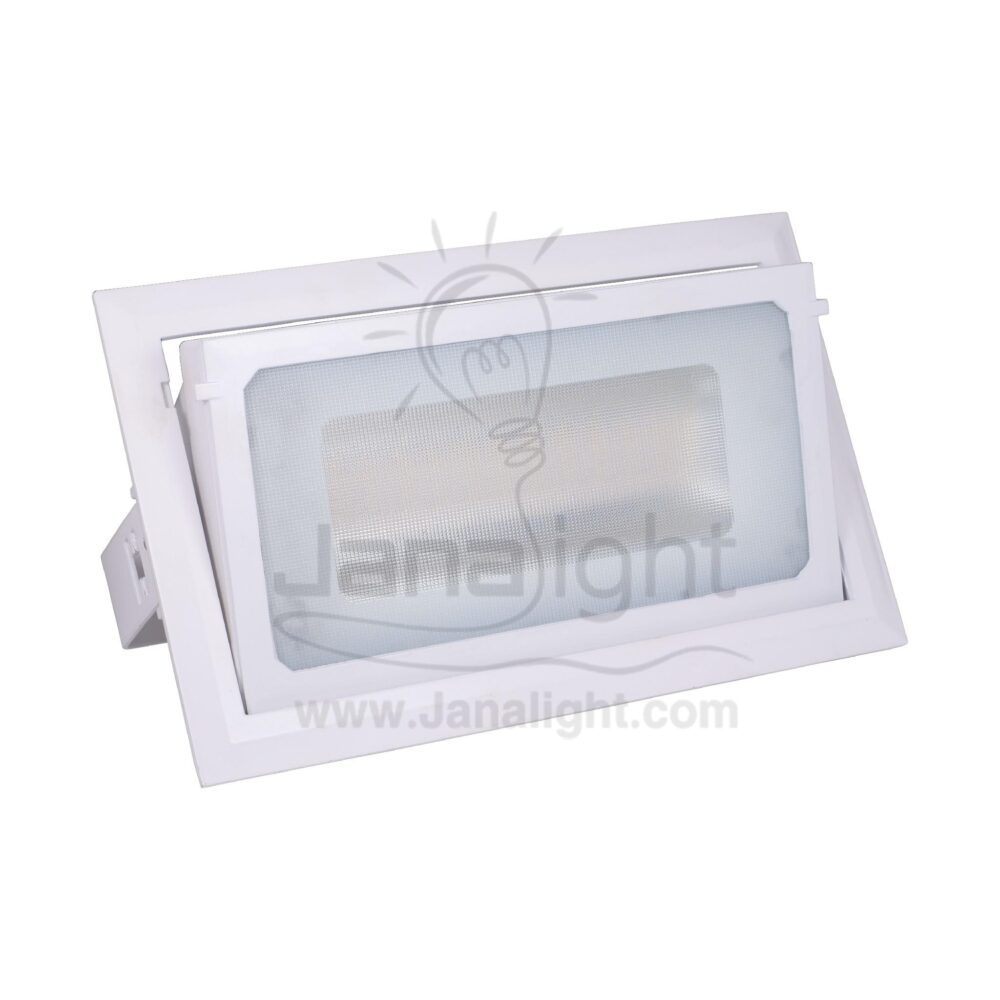 سبوت واجهة 30 وات حلق ابيض انارة ابيض white LED Flood elmohandes light 30 Watt-white