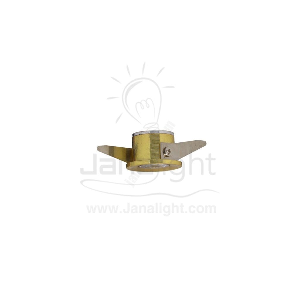 سبوت زر 3 وات مجوف روز ذهبي لميع وورم جنى لايت Spot ring 3 watt 5119 golden warm