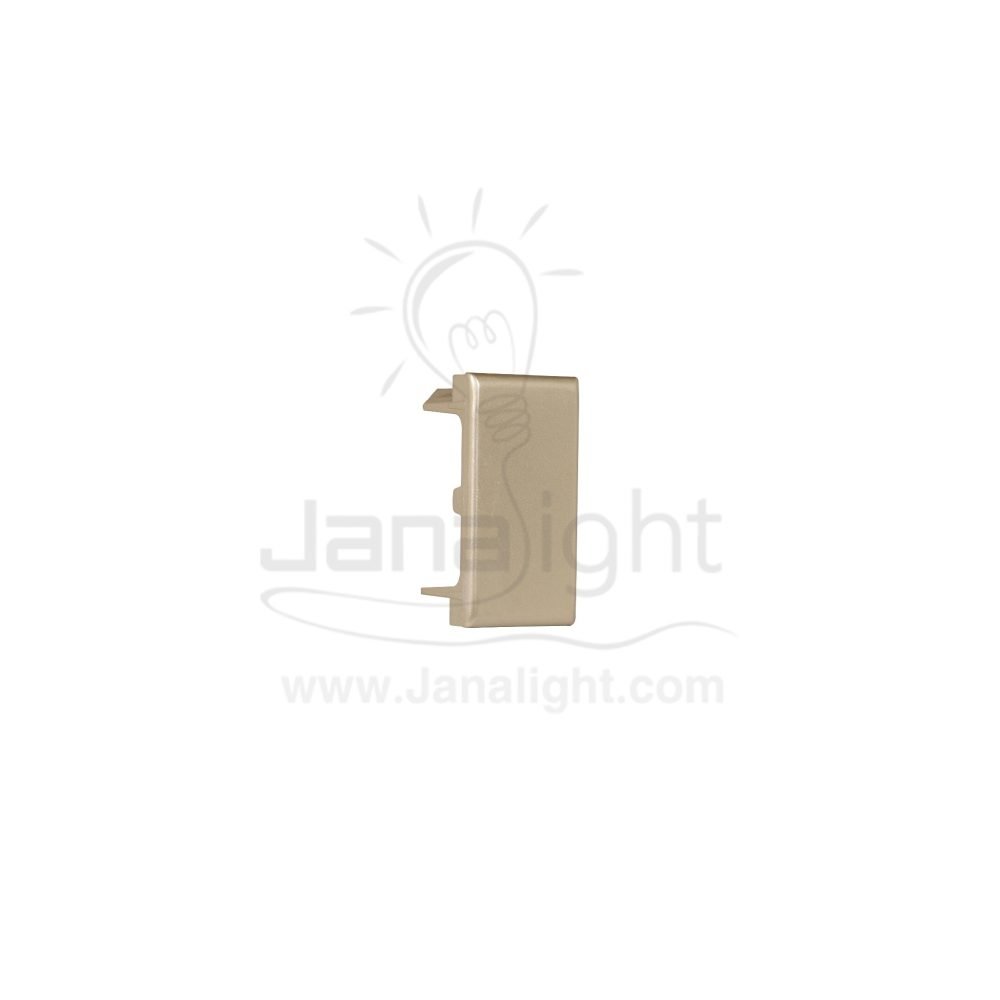 سدادة شامبين خيند Khind champagne single plastic blank dummy switch plate modular 133044020(1)