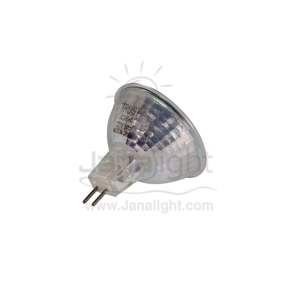 Halogen spot lamp 220v