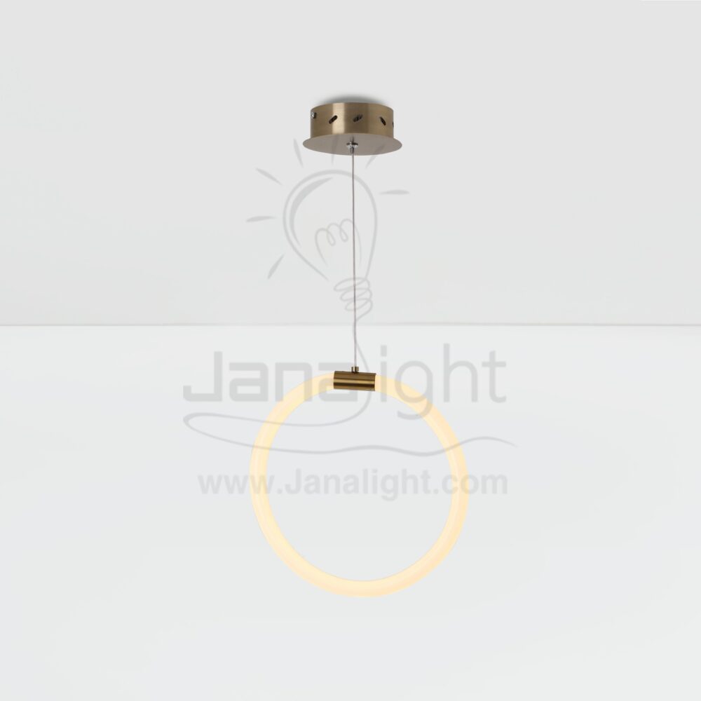 دلاية ليد خرطوم مرن شكل دائري Modern luminaire hanglamp ceiling pendant led one minimalist ring