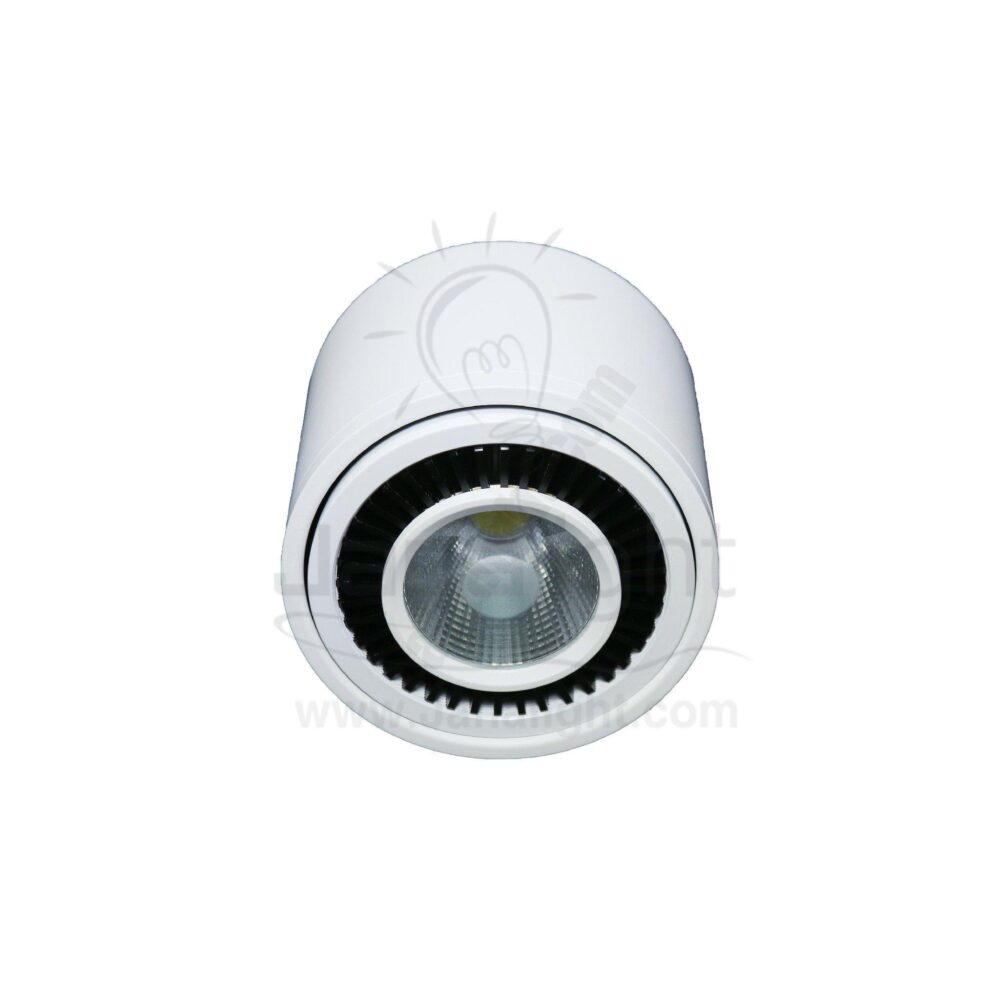 سبوت لايت سلندر 15وات ابيض ابيض متحرك نصف كرة C1088 white cylinder spotlight 15 watt white moving himespherical C1088