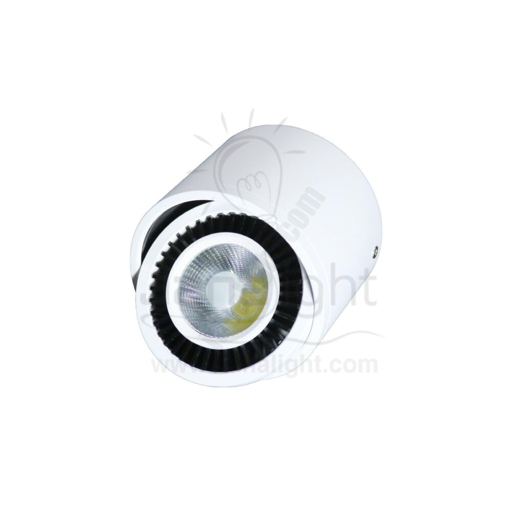 سبوت لايت سلندر 15وات ابيض ابيض متحرك نصف كرة C1088 white cylinder spotlight 15 watt white moving himespherical C1088