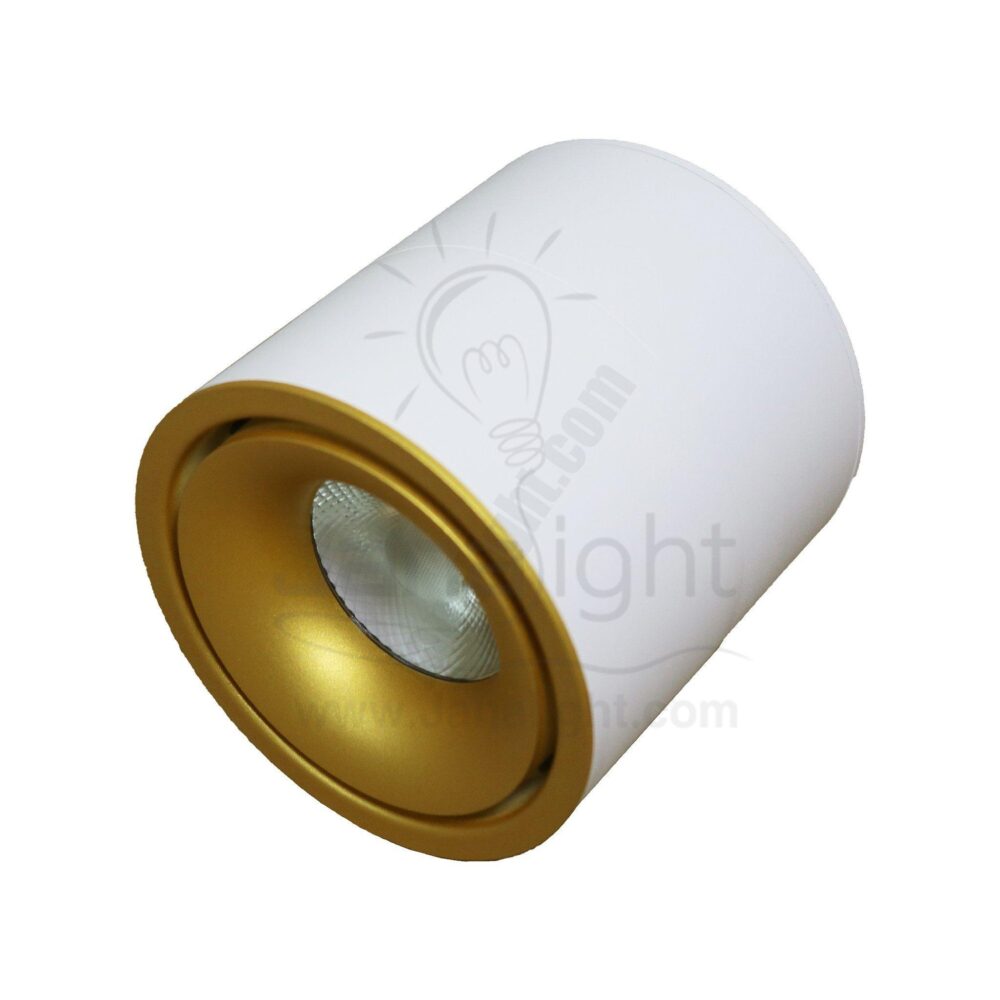 سبوت لايت سلندر 12 وات ابيض وش ذهبي انارة وورم متحرك white cylinder spotlight rotatable 12 watt gold face