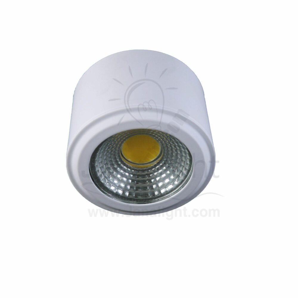سبوت سبوت لايت سلندر 5 وات ابيض وورم جنى لايت DL7051 C5 cylinder downlight white-Worm 5w