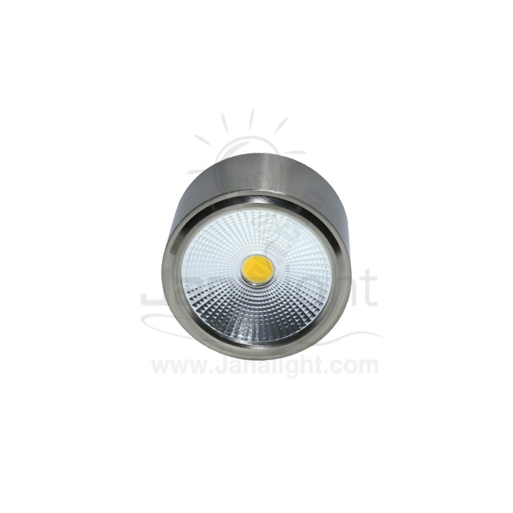 سبوت سبوت لايت سلندر 10 وات فضي وورم جنى لايت cylinder downlight silver-Worm 10w