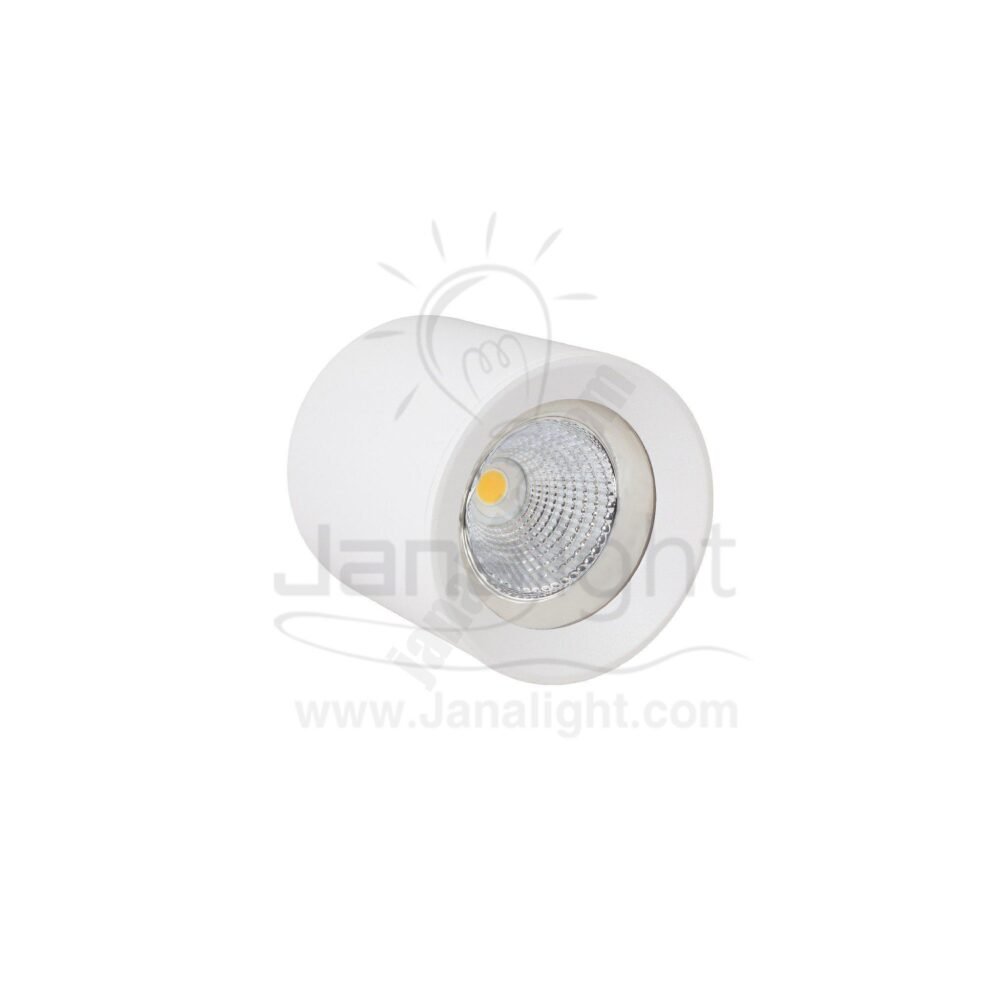 سبوت لايت سلندر ايميكا 10 وات مدور ابيض خارجي COB جنى لايت white round cylinder spotlight prominent 10 watt emeca COB jana light