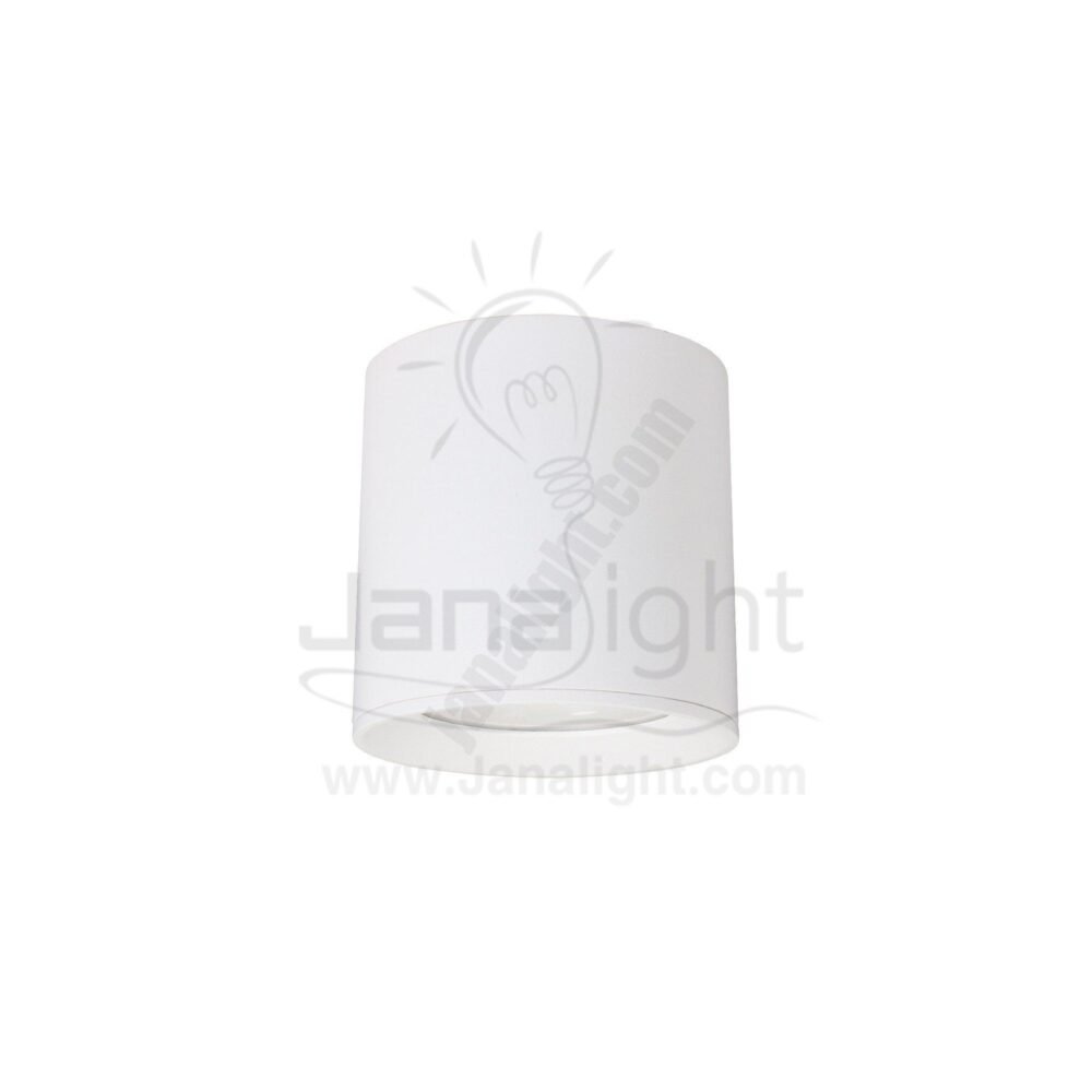 سبوت لايت سلندر ايميكا 10 وات مدور ابيض white round cylinder spotlight prominent 10 watt emeca COB jana light