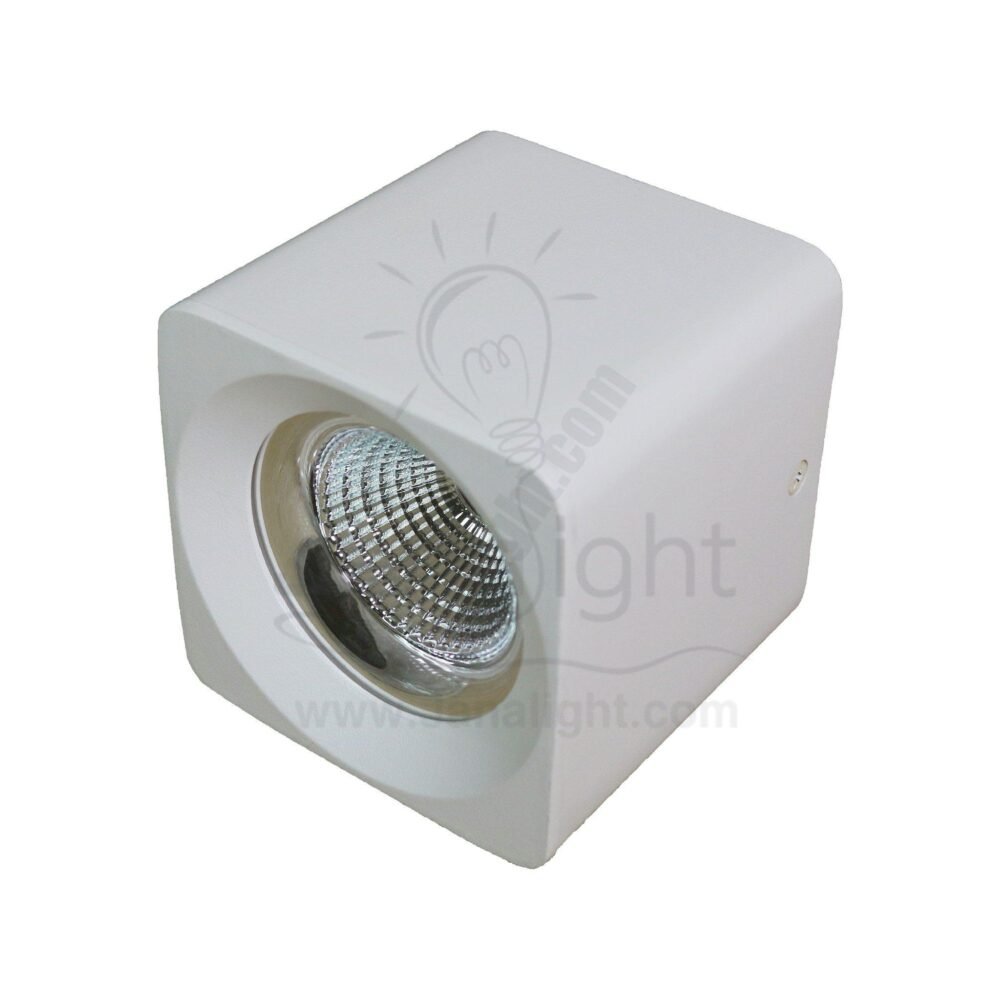 سبوت لايت سلندر ايميكا 10 وات مربع ابيض خارجي COB جنى لايت white square cylinder spotlight prominent 10 watt emeca 90RA / COB